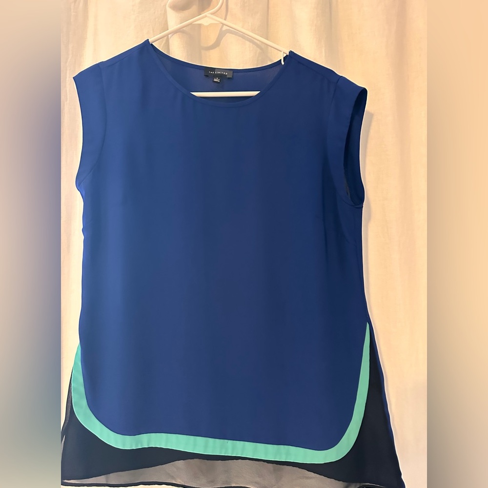 The Limited Blue Sleeveless Blouse